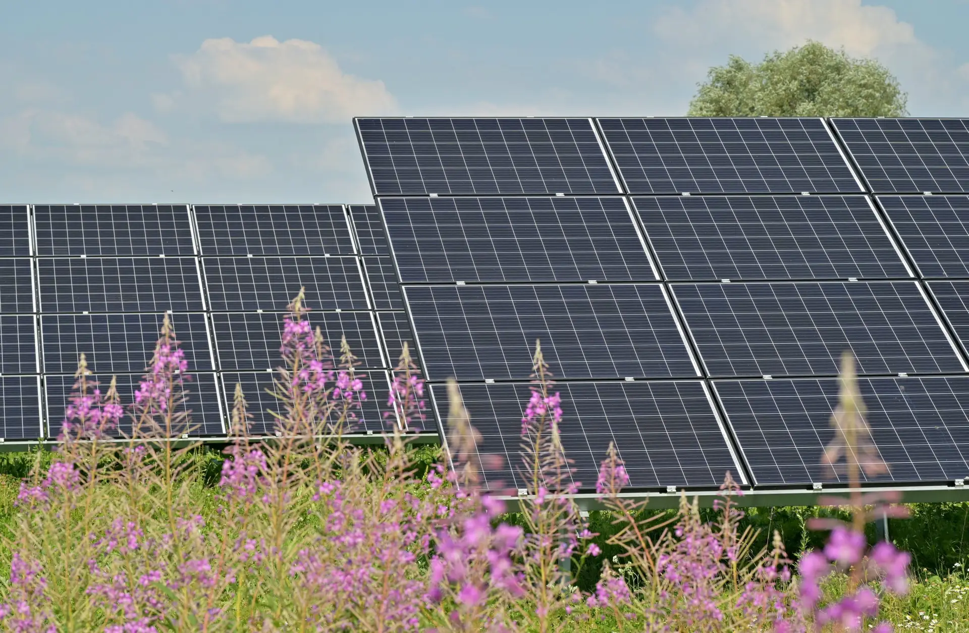 MPD No-cost solar options Clay County Community Solar Garden