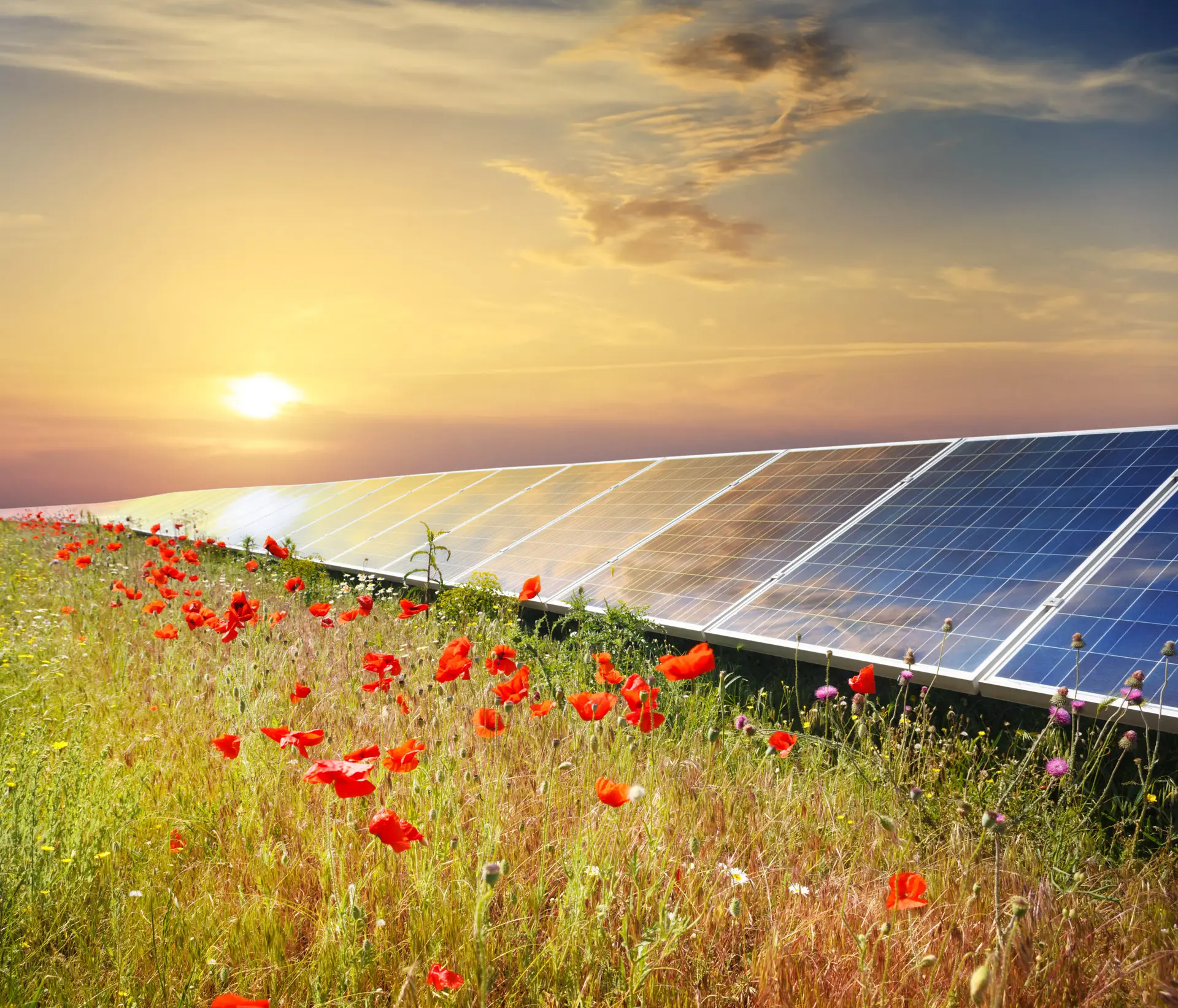 Join the Dakota Community Solar Garden